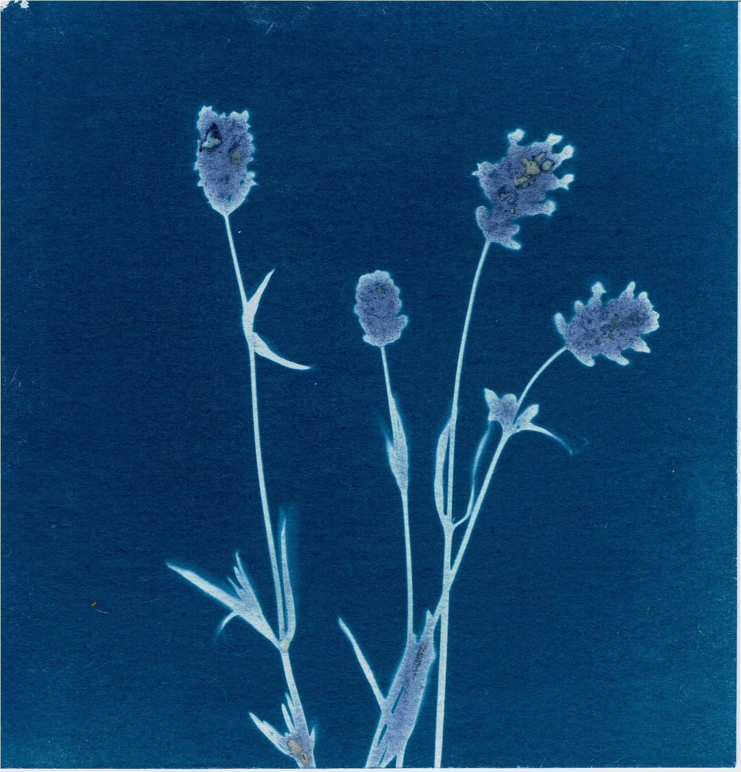 Blaumeier – Workshop